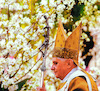 Benedikt XVI. 3.tif