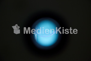dioezesane Kunstpreisverleihung-054-23