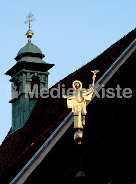 Dom_Dach 1.jpg