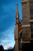 DSC_1012.JPG