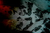 DSC_1077.JPG