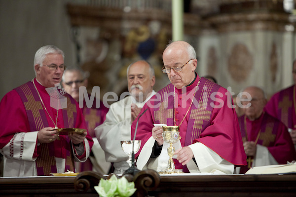 Installation Prof. Koerner-3102