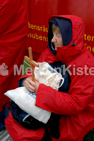 Papst-Mariazell-123.jpg