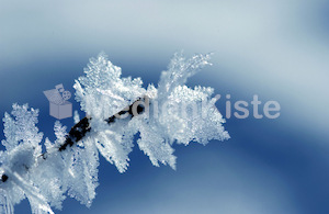wintermotiv3.jpg wintermotiv3.jpg