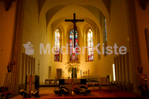 a_Martinsdom_Kirchenpressekonferenz_Eisenstadt__F._Neuhold (6)