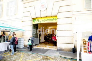 Aufsteirern_fürs_Internetz_F._Neuhold-1205