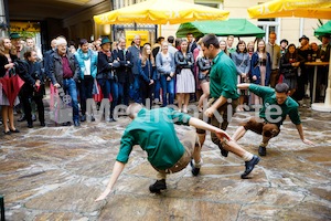 Aufsteirern_fürs_Internetz_F._Neuhold-1420