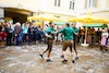 Aufsteirern_fürs_Internetz_F._Neuhold-1424