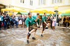 Aufsteirern_fürs_Internetz_F._Neuhold-1429
