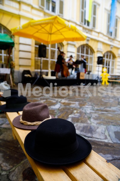 Aufsteirern_fürs_Internetz_F._Neuhold-1596