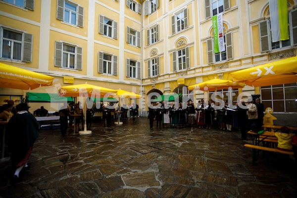 Aufsteirern_fürs_Internetz_F._Neuhold-720