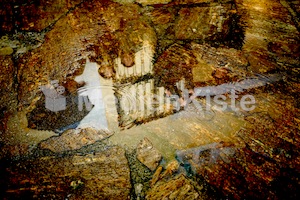 Aufsteirern_fürs_Internetz_F._Neuhold-733