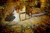 Aufsteirern_fürs_Internetz_F._Neuhold-733