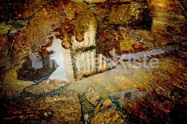 Aufsteirern_fürs_Internetz_F._Neuhold-733
