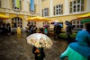 Aufsteirern_fürs_Internetz_F._Neuhold-736