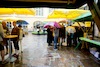 Aufsteirern_fürs_Internetz_F._Neuhold-754