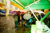 Aufsteirern_fürs_Internetz_F._Neuhold-758