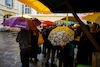 Aufsteirern_fürs_Internetz_F._Neuhold-759
