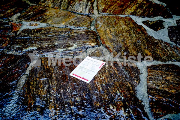 Aufsteirern_fürs_Internetz_F._Neuhold-802