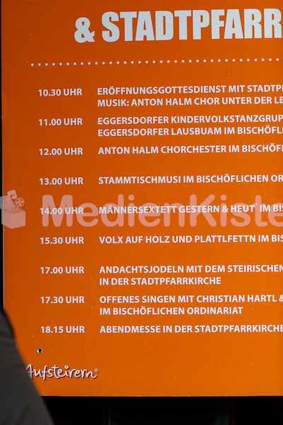 Aufsteirern_fürs_Internetz_F._Neuhold-985