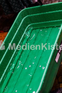 Aufsteirern_fürs_Internetz_F._Neuhold-996