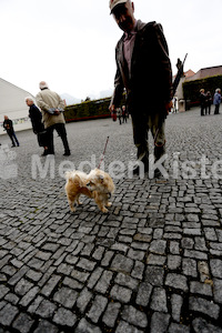 Austrägerwallfahrt_Mariazell_F._Neuhold-4260