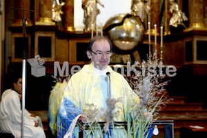 Austrägerwallfahrt_Mariazell_F._Neuhold-4393