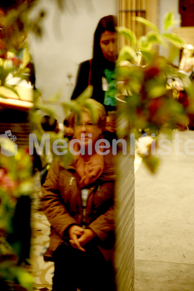 Austrägerwallfahrt_Mariazell_F._Neuhold-4559