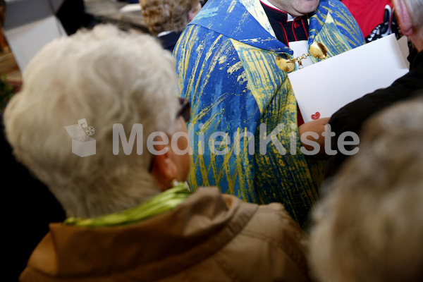 Austrägerwallfahrt_Mariazell_F._Neuhold-5080