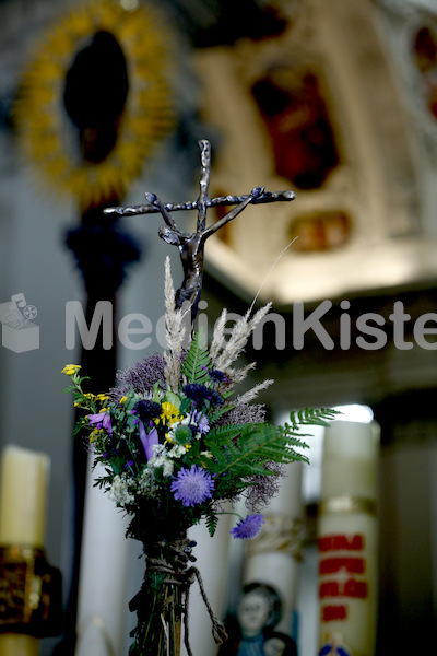 Austrägerwallfahrt_Mariazell_F._Neuhold-5163