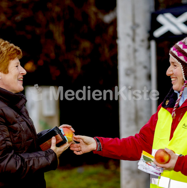 Autofasten_Äpfel_verteilen_F._Neuhold-101