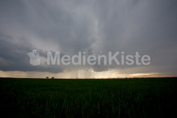 b_Anreise_Kirchenpressekonferenz_Eisenstadt__F._Neuhold (12)