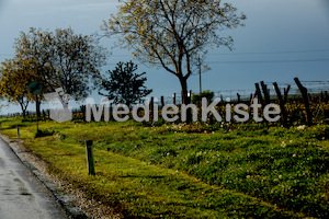 b_Anreise_Kirchenpressekonferenz_Eisenstadt__F._Neuhold (124)