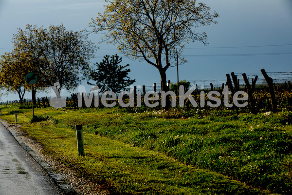 b_Anreise_Kirchenpressekonferenz_Eisenstadt__F._Neuhold (124)