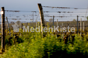 b_Anreise_Kirchenpressekonferenz_Eisenstadt__F._Neuhold (126)