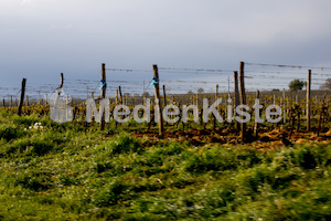 b_Anreise_Kirchenpressekonferenz_Eisenstadt__F._Neuhold (128)