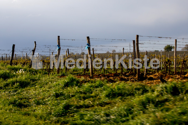 b_Anreise_Kirchenpressekonferenz_Eisenstadt__F._Neuhold (128)