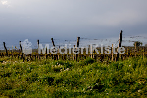 b_Anreise_Kirchenpressekonferenz_Eisenstadt__F._Neuhold (129)