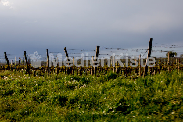 b_Anreise_Kirchenpressekonferenz_Eisenstadt__F._Neuhold (129)