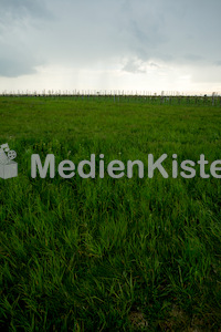 b_Anreise_Kirchenpressekonferenz_Eisenstadt__F._Neuhold (16)