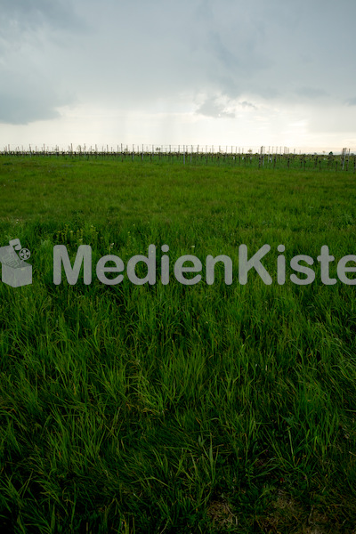b_Anreise_Kirchenpressekonferenz_Eisenstadt__F._Neuhold (16)