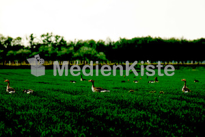 b_Anreise_Kirchenpressekonferenz_Eisenstadt__F._Neuhold (19)