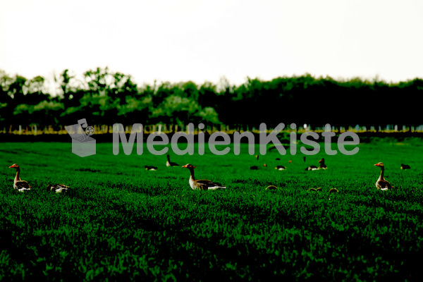 b_Anreise_Kirchenpressekonferenz_Eisenstadt__F._Neuhold (19)