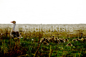b_Anreise_Kirchenpressekonferenz_Eisenstadt__F._Neuhold (21)