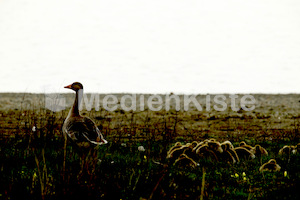 b_Anreise_Kirchenpressekonferenz_Eisenstadt__F._Neuhold (22)