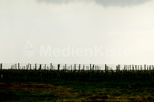 b_Anreise_Kirchenpressekonferenz_Eisenstadt__F._Neuhold (34)