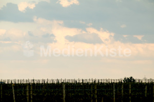 b_Anreise_Kirchenpressekonferenz_Eisenstadt__F._Neuhold (35)