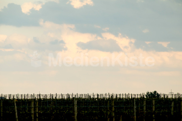 b_Anreise_Kirchenpressekonferenz_Eisenstadt__F._Neuhold (35)