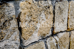 b_Anreise_Kirchenpressekonferenz_Eisenstadt__F._Neuhold (92)