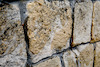 b_Anreise_Kirchenpressekonferenz_Eisenstadt__F._Neuhold (92)